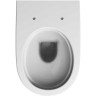 Комплект инсталляция GEBERIT DUOFIX DELTA 500,103.DW.R с подвесным унитазом RENOVA с сиденьем микролифт и клавишей
